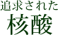 追求された核酸