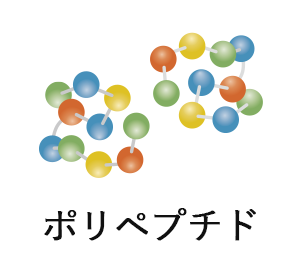 ポリペプチド