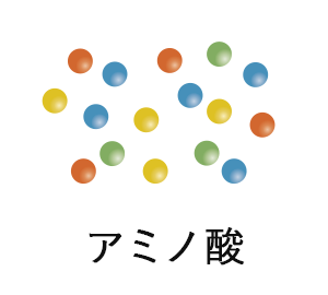 アミノ酸
